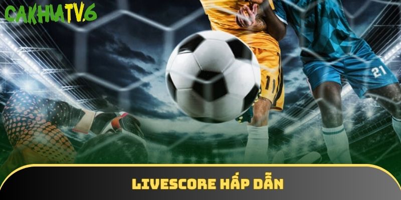 Livescore đặc trưng với chất lượng theo dõi tuyệt vời